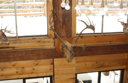 Wentworth-Nord Ski Chalet | BEAVERS POND INSIDE POOL / SAUNA / SPA / LAKE ACCESS