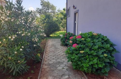 Đuba Bed & Breakfast | Bed and breakfast Julia