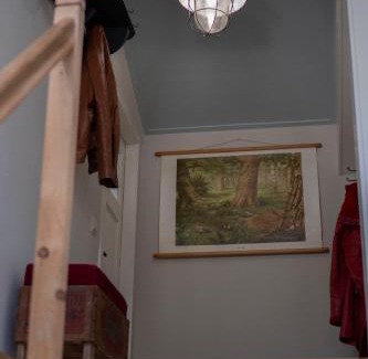 Rolde Apartment | Bed, Boom en Droom