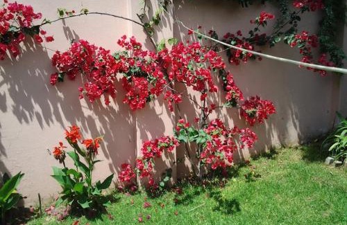 Vicente Lopez Bed & Breakfast | Bed & breakfast Familia San Martín
