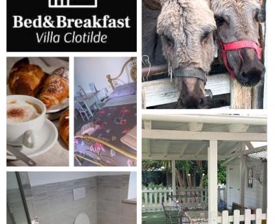 Civitanova Marche Bed & Breakfast | Bed&Breakfast VillaClotilde