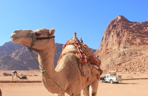 Wadi Rum RV Rental | Bedouin Nomads Adventures