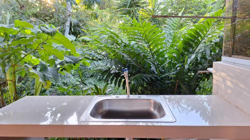 Aguas Zarcas Apartment | Bee house