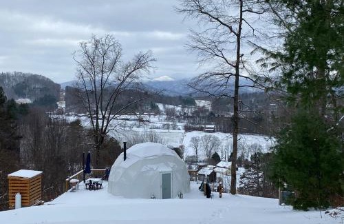 Mars Hill Other | Bee Our Guest Mountain Top Glamping