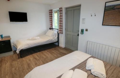 Cowbridge House | Beech