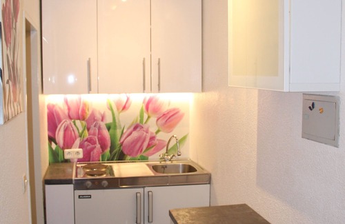 Braunlage Apartment | "Beech" Small but nice 1 room apartment/WiFi