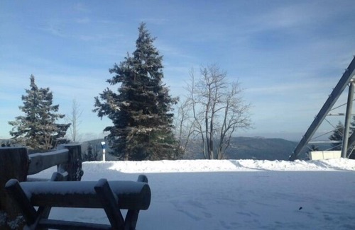 Braunlage Apartment | "Beech" Small but nice 1 room apartment/WiFi