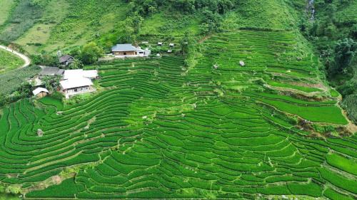 Sa Pa House | Bees Homestay Sapa & Trekking
