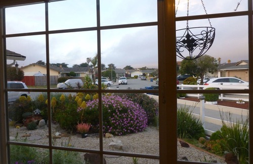 Marina House | BeeZee's Coastal Retreat.FOG PLAY. A place, of Healing.Namaste