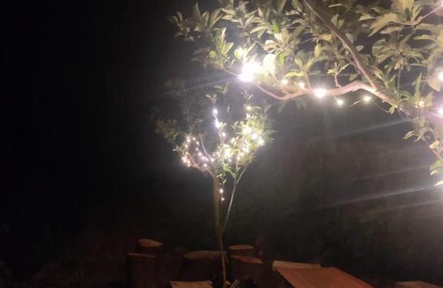 Manali House | Before Sunrise Cabin
