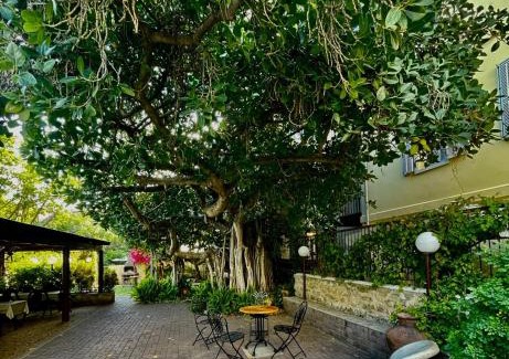 American Colony Hotel | Beit Immanuel