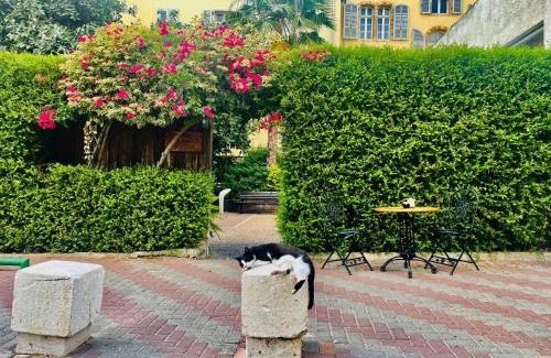 American Colony Hotel | Beit Immanuel