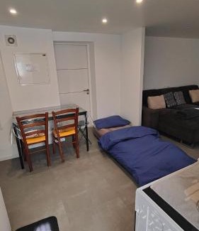 Selestat Apartment | Bel appartement F2 entièrement rénové