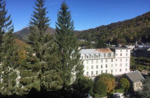 Mont-Dore Apartment | Bel F2 avec balcon, parking privé et ascenseur - Mont-Dore - FR-1-415-39