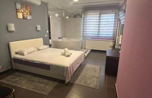 Novi Beograd Apartment | Bela Ruza