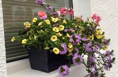 Belfast House | Belfast townhouse in prime location in Belfast City
