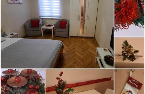 Dorcol Apartment | Belgrade 1911 apartment