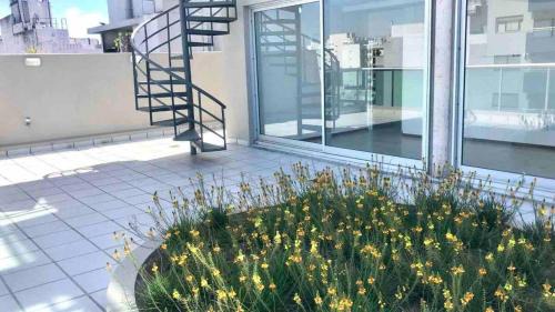 Nunez Apartment | Belgrano Live Studio 4