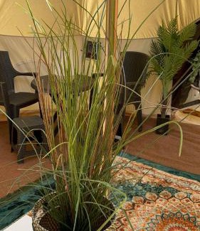 West Bridgford Other | Bell Tent Village Parks