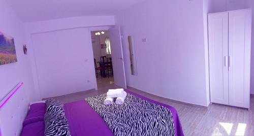 Montolivet Apartment | Bella Vista