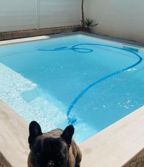 Perpignan House | Belle chambre dans villa neuve avec piscine