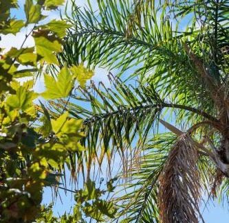 Glenelg North House | Belle Escapes - Seabreeze Townhouse