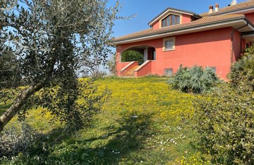 Civitanova Marche Bed & Breakfast | Belle Marche
