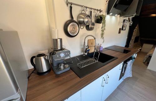 Dole Apartment | BELLEVUE Appartement sous les toits hypercentre climatisé