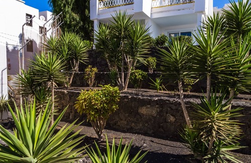Puerto del Carmen Apartment | BelleVue Aquarius Aparthotel