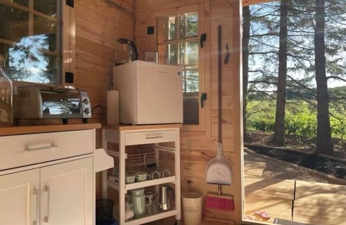 Belwood Cabin | Belwood Bunkie Escape & Spa minutes away from Elora