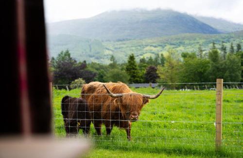 Fort William House | Ben Nevis Pod