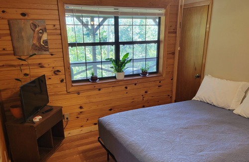 Mountain View Cabin | BenevaBluff - Private cabin on 5 acres located near everything