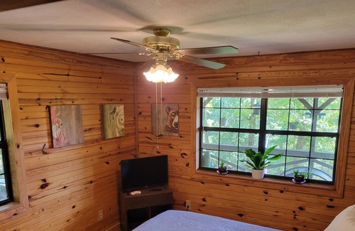 Mountain View Cabin | BenevaBluff - Private cabin on 5 acres located near everything