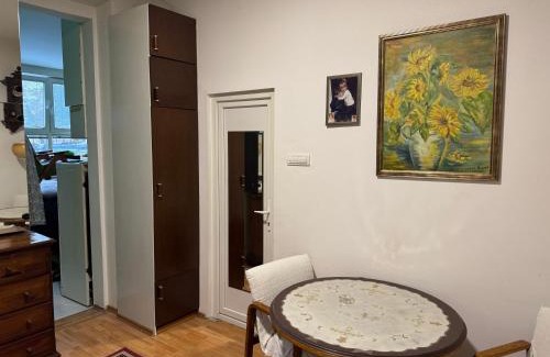 Slavija Apartment | Beograd Birčaninova