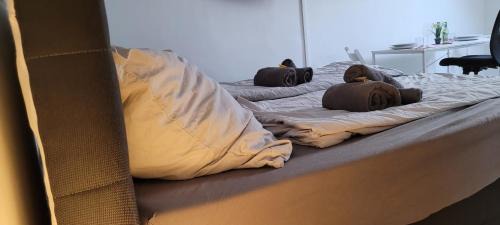 Bergisch Gladbach Apartment | Berg Messe DG 1Zi, K,D,B Parkplatz, W-Lan, Homeoffice