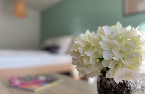 Steibis Apartment | BERGfeeling mit Oberstaufen PLUS