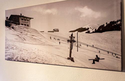Niederau Apartment | Bergwelt A2