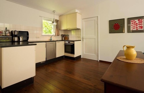 Nieuw-Haamstede Ski Chalet | Berkenpad 6 comfortable holiday cottage in nature