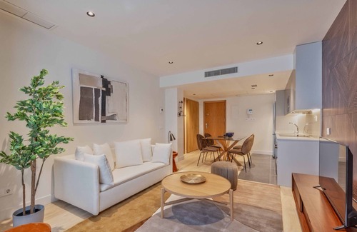 Nueva Espana Apartment | Bernabeu Place XII apartment in Madrid