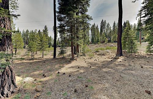 Truckee House | Bernese Gem