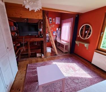 Greifswald City Centre Apartment | Berthi's Townhouse in city center