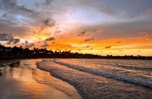 Vilomar House | Best Beach in PR! Beachfront 6 Bedr & Food Forest