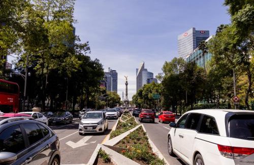 Zona Rosa Apartment | Best location in Mexico City Cozy Master Suite