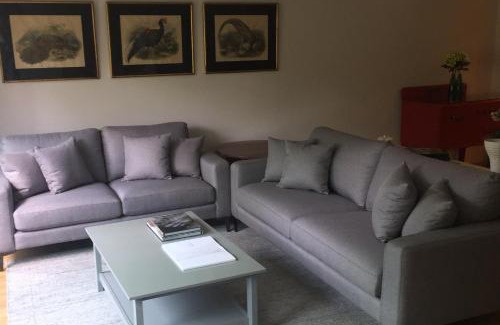 Miguel Hidalgo Apartment | Best location in Mexico City