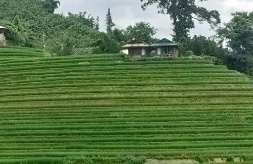 Sa Pa House | Best View Homestay