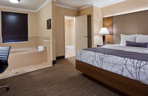 Hollywood Hotel | Best Western Hollywood Plaza Inn Hotel - Hollywood Walk of Fame LA