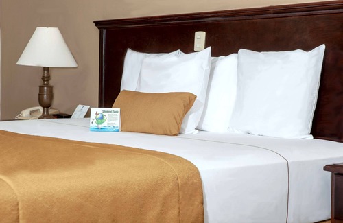 Torreon Hotel | Best Western Hotel Posada Del Rio Express