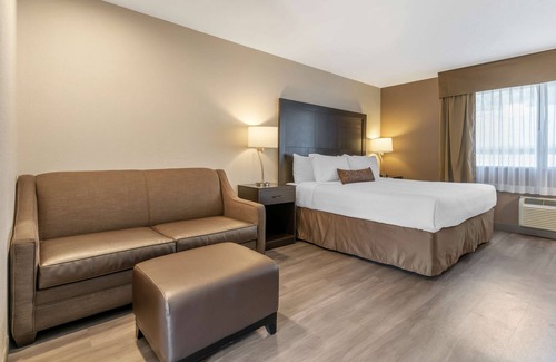 Vancouver Hotel | Best Western Inn Of Vancouver