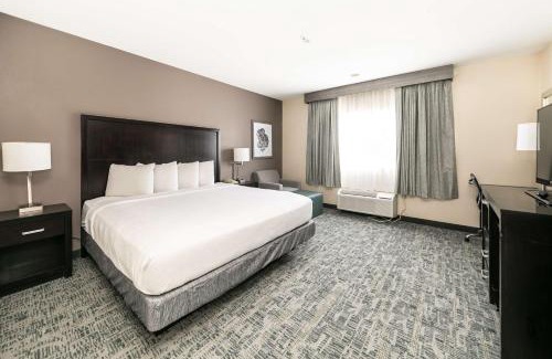 Mission Valley West Hotel | Best Western Inn & Suites San Diego Zoo -SeaWorld Area