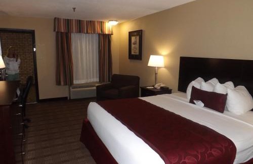 Alexandria Hotel | Best Western of Alexandria Inn & Suites & Conference Center